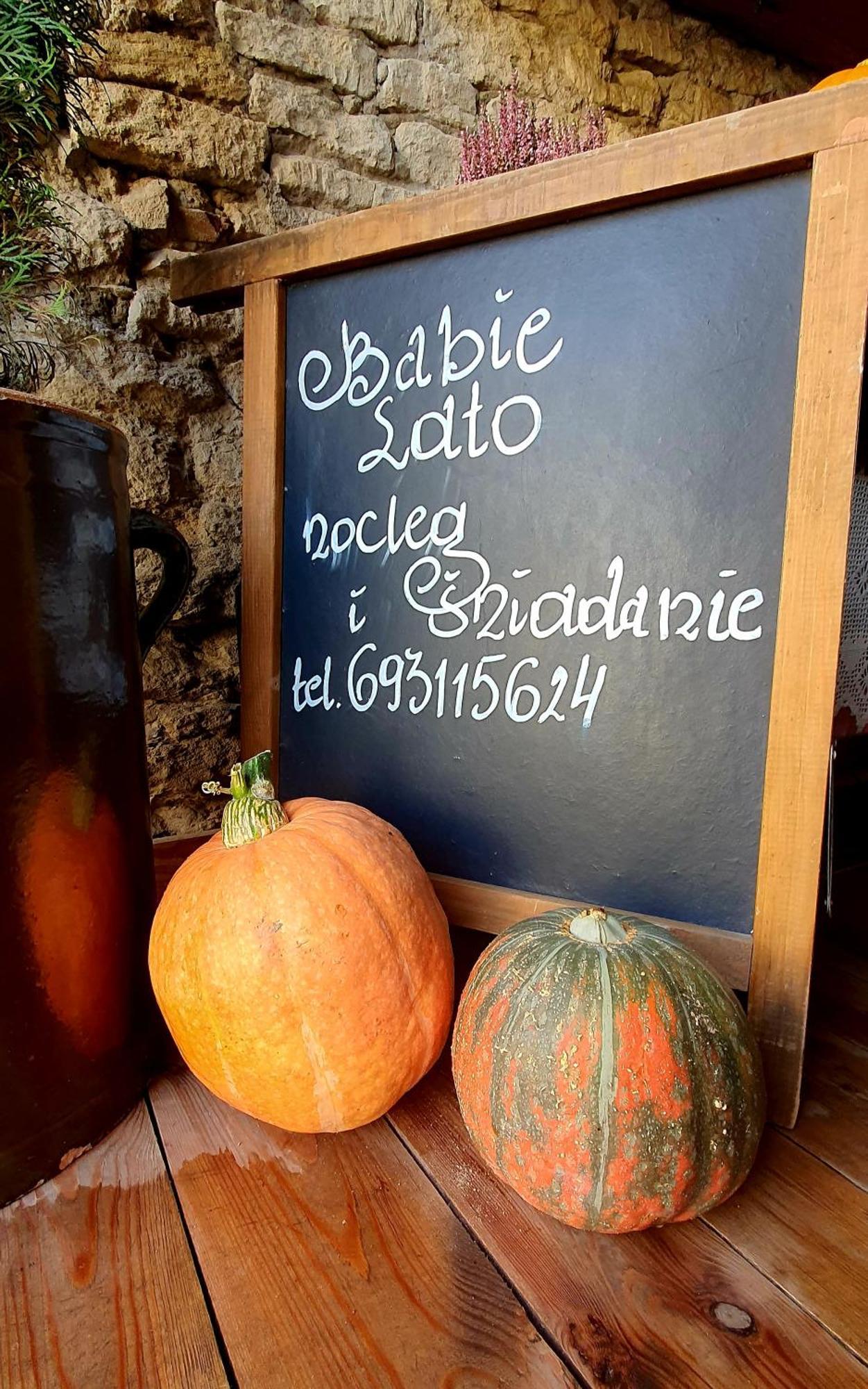 Babie Lato B&B Uniejów Extérieur photo