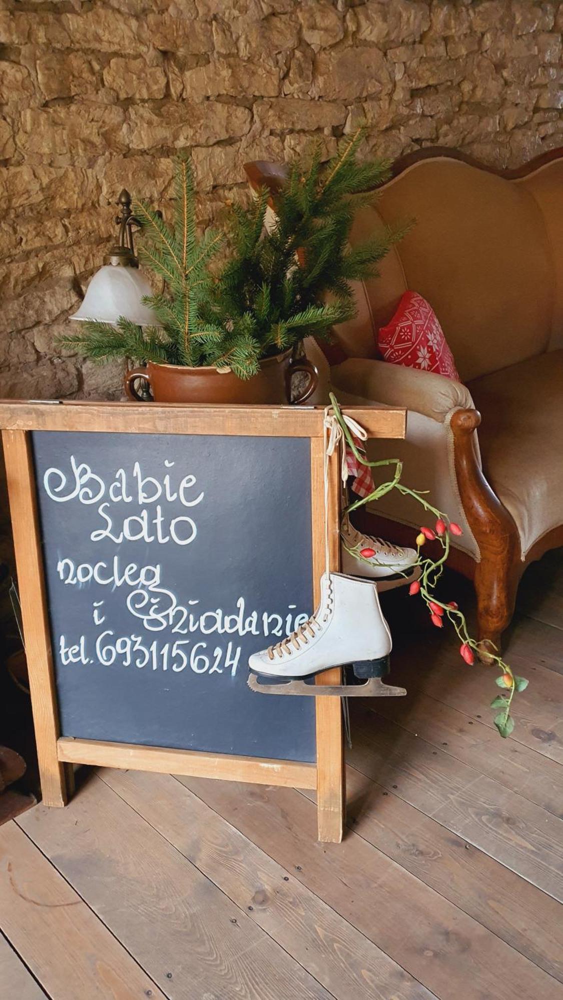 Babie Lato B&B Uniejów Extérieur photo